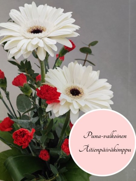 Puna-valkoinen Äitienpäiväkimppu